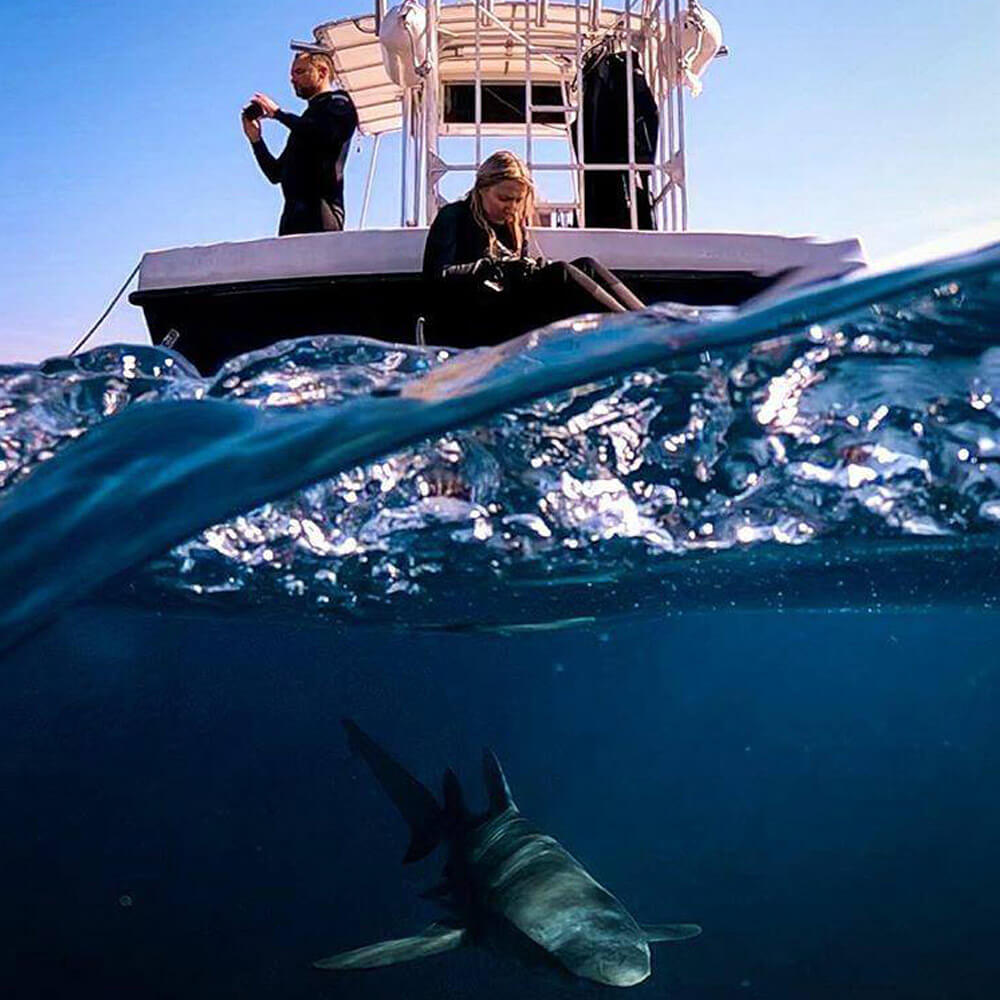 An image of the miami shark tours shark diving boat. 