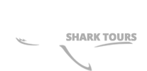 Image of the Miami Shark Tours logo with shark outline.