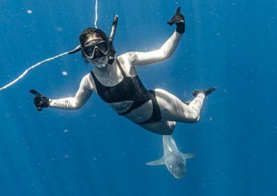 An image of a woman giving the thumbs up while diving with a shark off the coast of florida.