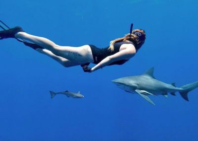 An image of a woman diving with an impressive shark off the coast of south florida.