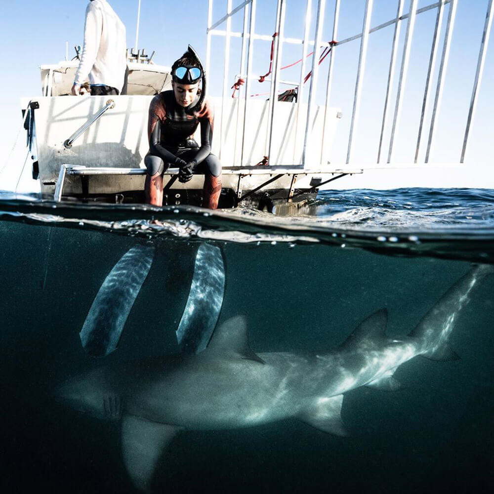 An image of the shark diving cage on a miami shark tours adventure in south florida. 